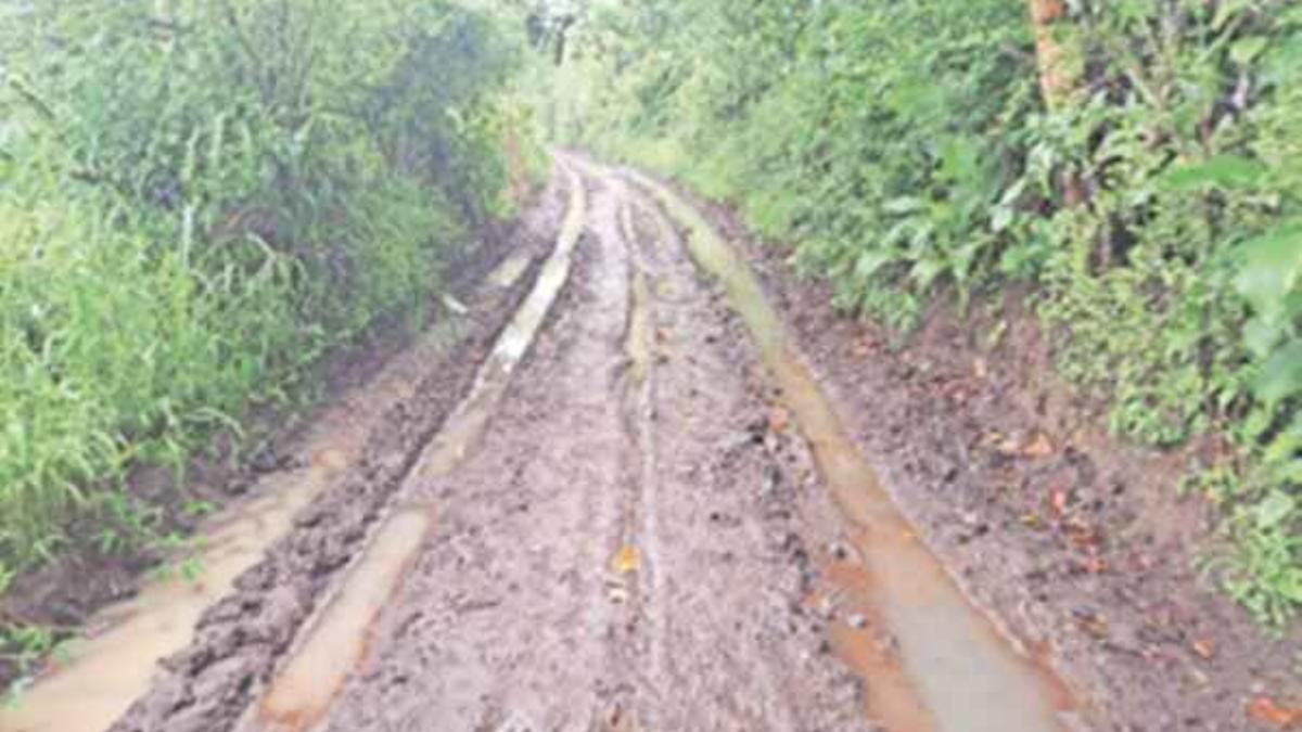 पाणंद रस्त्यांचा मार्ग होणार मोकळा...केंद्र सरकारचा मोठा निर्णय...