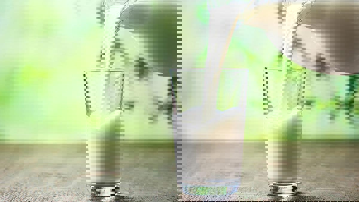 सावधान! तुम्ही पिताय ते दूध आहे की विष? अशी होतेय धक्कादायक दूध भेसळ 