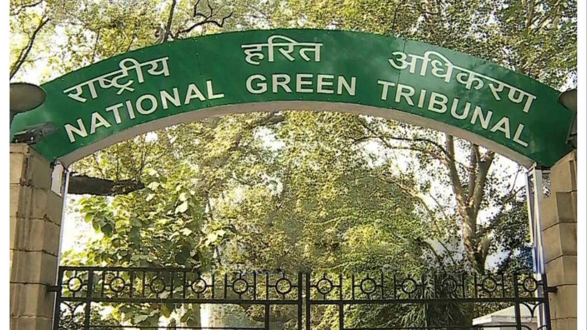 वाहनांवर 'सर्जिकल स्ट्राईक'... ही वाहने आता थेट जप्त होणार...