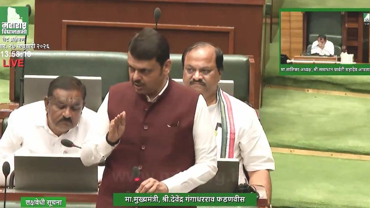 कृत्रिम फुलांच्या वापरावरील बंदीसंदर्भात मुख्यमंत्री देवेंद्र फडणवीस म्हणाले...