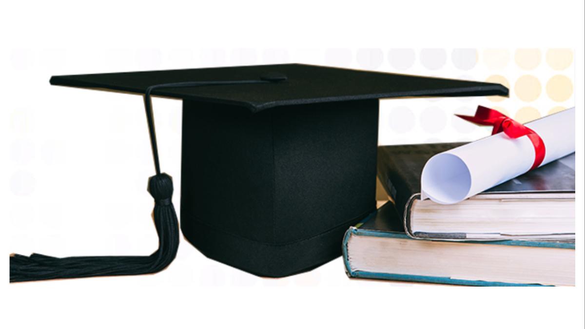 परदेशात उच्च शिक्षणासाठी जायचंय?  या सरकारी शिष्यवृत्तीचा नक्की लाभ घ्या...