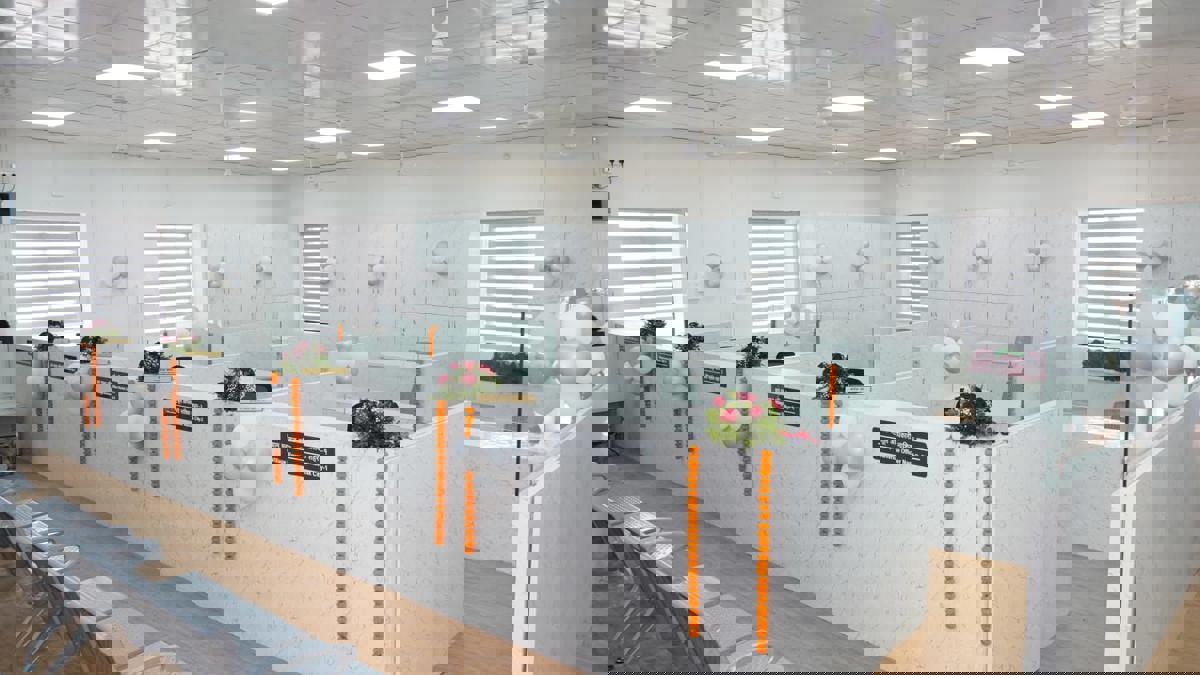 नाशिक शहरात येथे सुरू झाले मंडळ अधिकारी आणि तलाठी कार्यालय... एकदमच चकाचक...