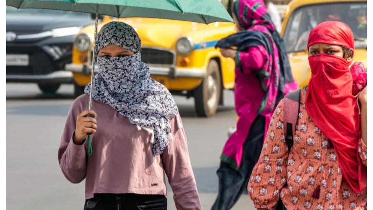 राज्यात उन्हाचा तडाखा वाढला... या १० जिल्ह्यांना 'यलो अलर्ट'... 