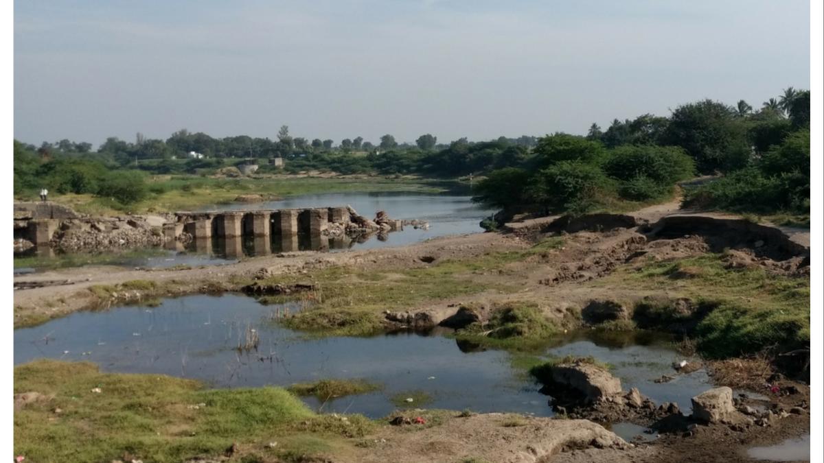 अवैध गौण खनिज वाहतूक रोखणाऱ्या मंडल अधिकाऱ्यावर कोयत्याने हल्ला... नाशकातील धक्कादायक प्रकार...