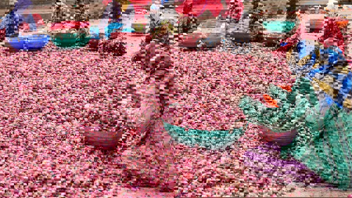 कांदा उत्पादकांना दिलासा देण्याबाबत विधिमंडळात झाली ही चर्चा...