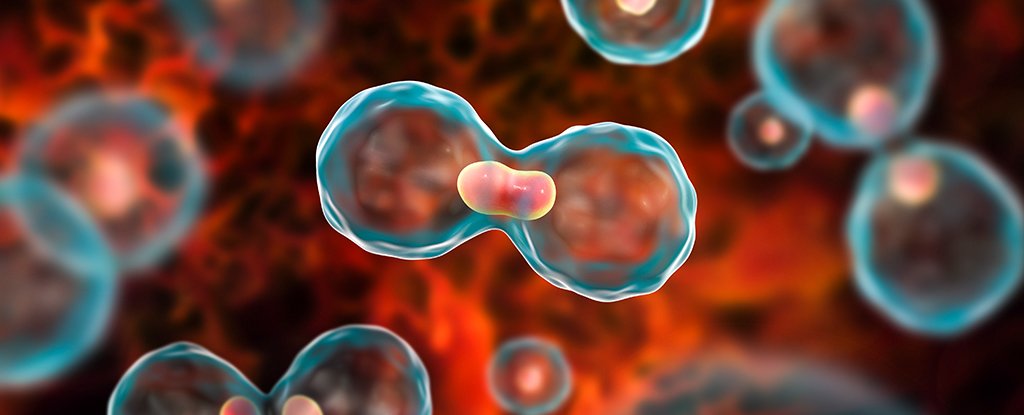 सावधान! यामुळे सुद्धा होतो तोंडाचा कर्करोग...