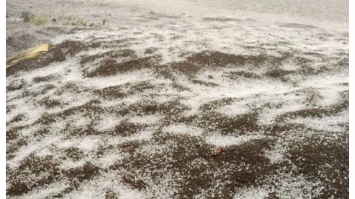 महाराष्ट्रावर अस्मानी संकट... या ७ जिल्ह्यांना 'ऑरेंज अलर्ट'... पुढील २४ तास गारपिटीचा इशारा...