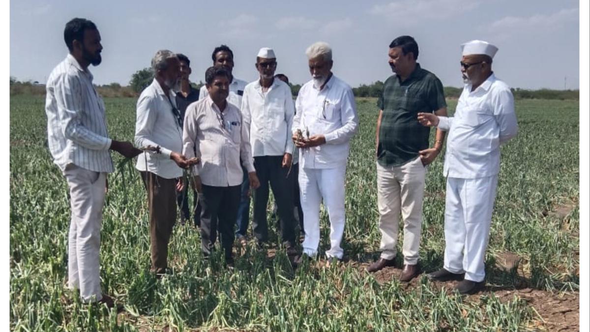 अवकाळीमुळे झालेल्या नुकसानाची पाहणी करून मंत्री दादा भुसे यांनी दिले हे निर्देश...