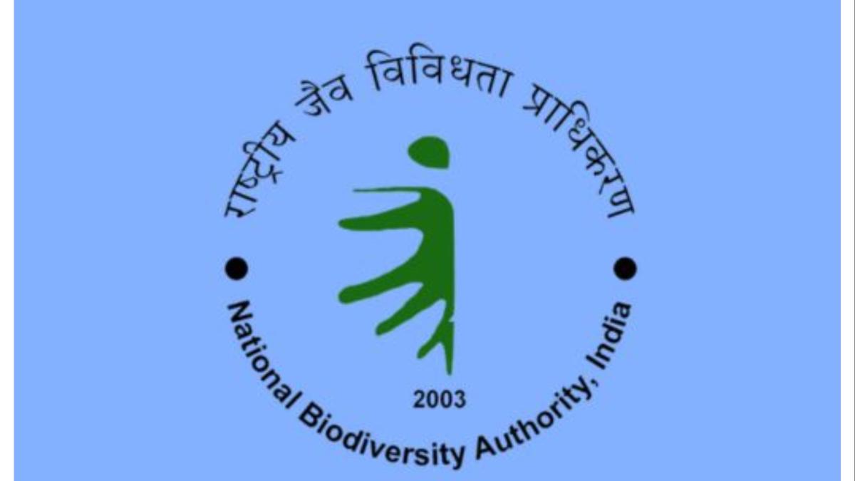 विद्यार्थ्यांसाठी सुवर्णसंधी... केंद्र सरकारतर्फे विशेष इंटर्नशीप कार्यक्रम सुरू