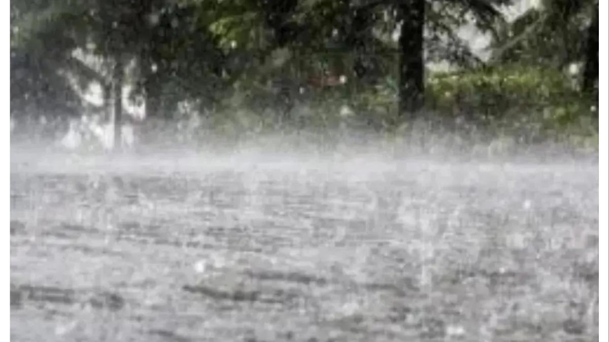 जिल्ह्यातील अवकाळी नुकसानग्रस्त शेतीचे तातडीने पंचनामे करा.... मंत्री छगन भुजबळ यांचे निर्देश