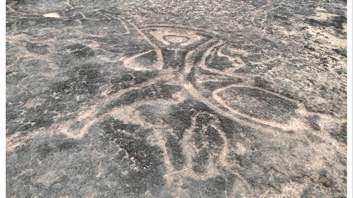 कोकणातील कातळशिल्पांबाबत राज्य सरकारचा मोठा निर्णय...