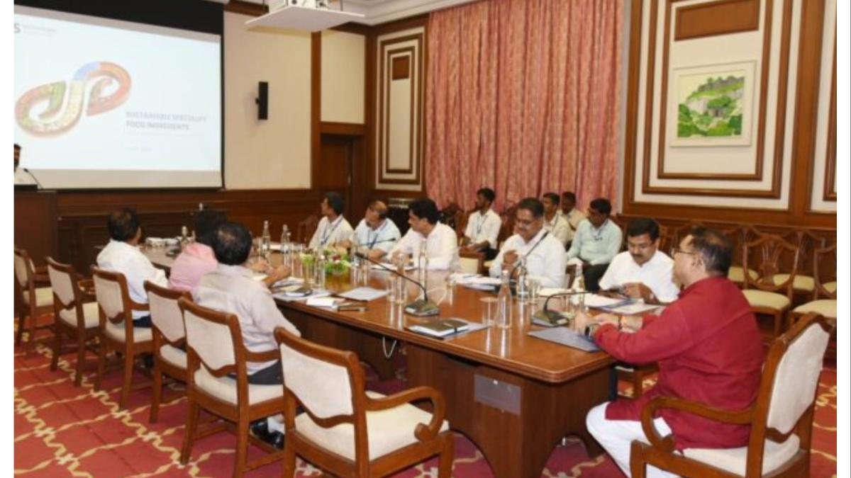 कांदा उत्पादक शेतकऱ्यांच्या हितासाठी... मंत्री जयकुमार रावल यांनी घेतली बैठक...