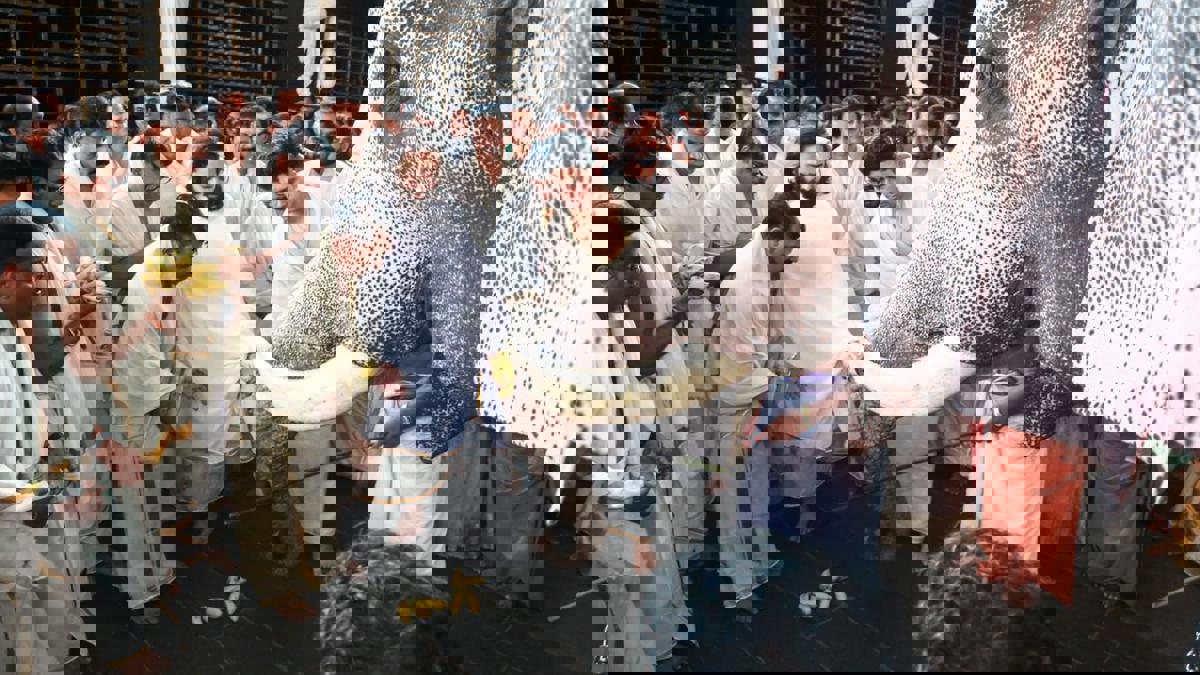 अनंत अंबानींकडून केरळमधील मंदिरांना इतक्या कोटींचे दान... हत्तींच्या कल्याणासाठीही पुढाकार...