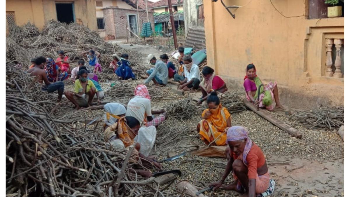 आदिवासींच्या आरक्षणावर परिणाम होणार? या तारखेला सुनावणी...