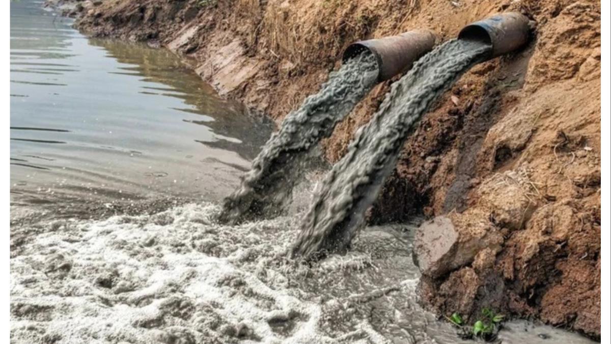 आता नोटीस नाही, थेट कारवाई... पंकजा मुंडेंच्या आदेशाने पुण्यात अनेकांचे धाबे दणाणले...