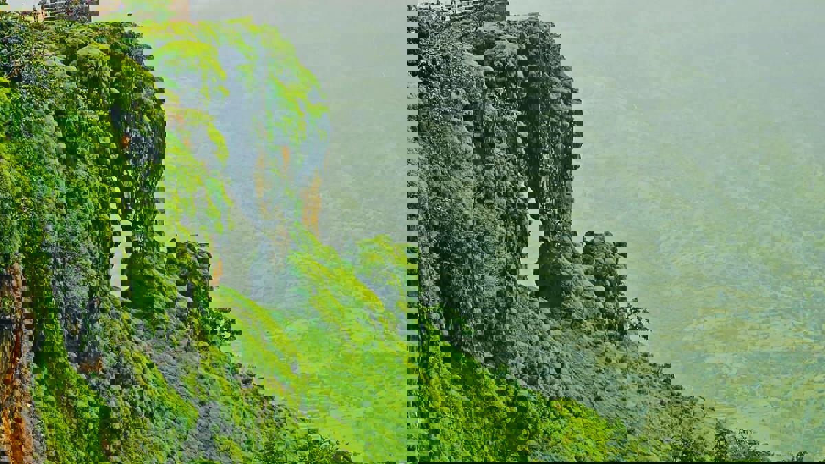 महाबळेश्वरला आता ‘कोयना बॅकवॉटर फेस्टिव्हल’... अशी राहणार त्याची वैशिष्ट्ये...