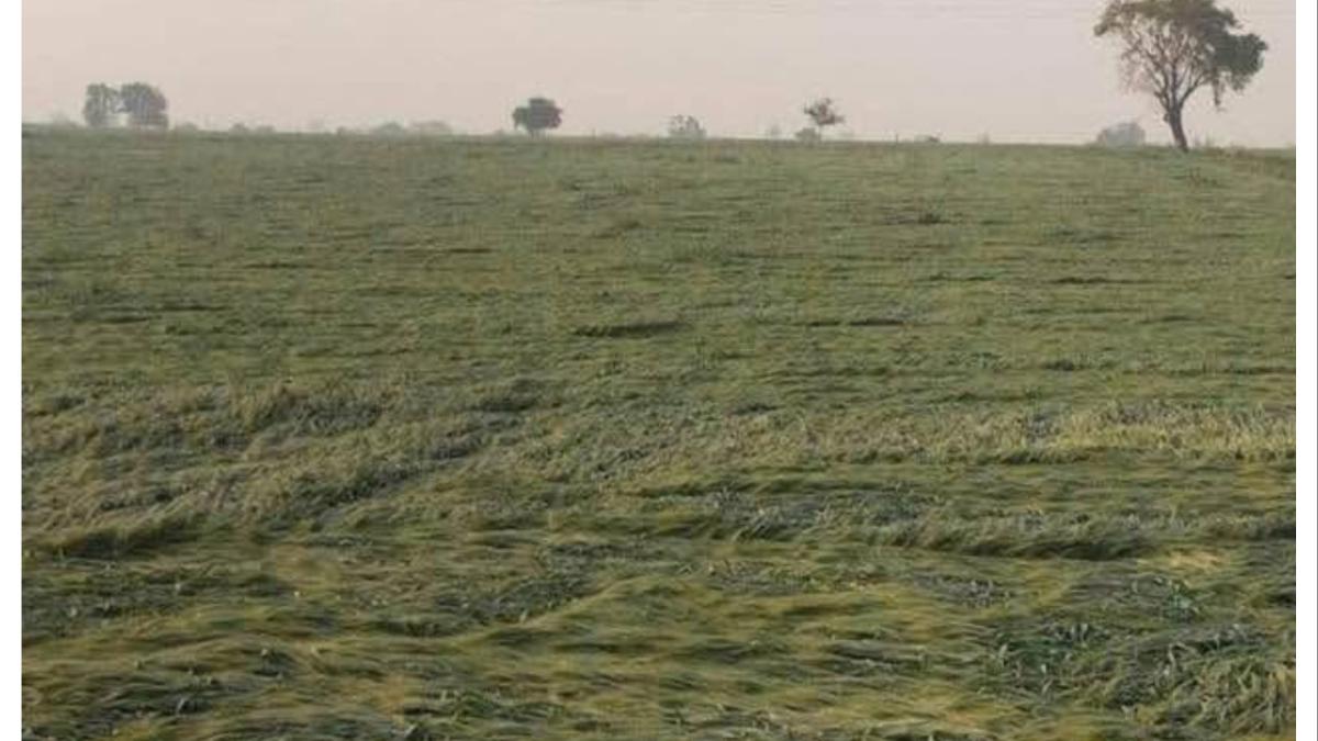 सावधान... राज्यात वादळी पावसाचा इशारा... कुठे? कधी थैमान घालणार?