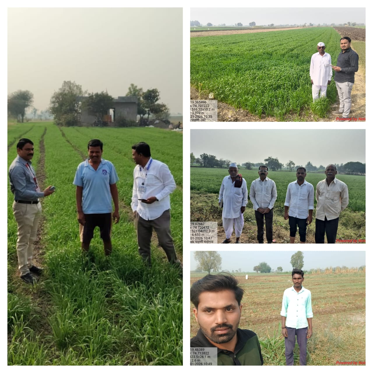 ई-पीक पाहणीसाठी प्रशासन ‘मिशन मोड’वर... अधिकाऱ्यांची थेट...