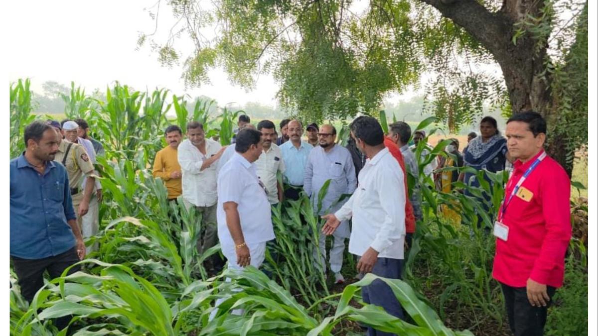 अवकाळी पावसामुळे शेतपिकांचे अतोनात नुकसान...  पालकमंत्री म्हणाले...