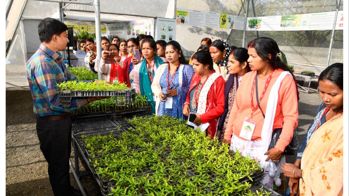 ५ फेब्रुवारीपासून कृषी आणि धान्य महोत्सव... शेतकऱ्यांसह ग्राहकांसाठी मोठी पर्वणी...