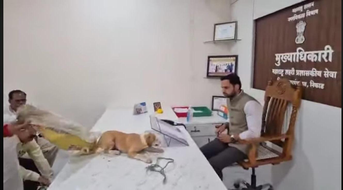 निवेदनांना केराची टोपली...   मुख्याधिकार्‍यांच्या टेबलावर थेट सोडली मोकाट कुत्री...  या अनोख्या आंदोलनाची राज्यभर चर्चा...