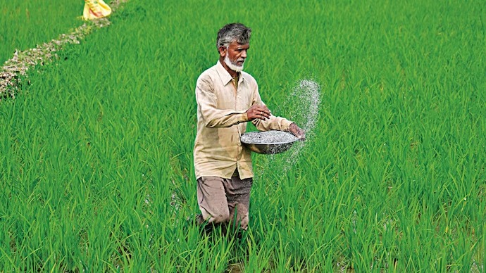 नाशिक जिल्ह्यात आणखी १३ कृषी सेवा केंद्रांचे परवाने निलंबित...  अशा आढळल्या गंभीर त्रुटी...