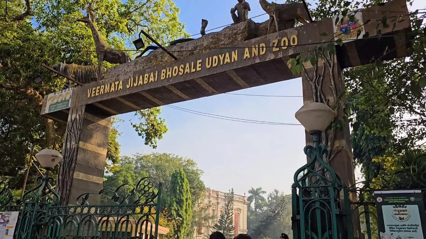 पेंग्विन नको, 'कॅपुचिन माकड' द्या... सिंहाच्या बदल्यात गुजरातची मागणी...