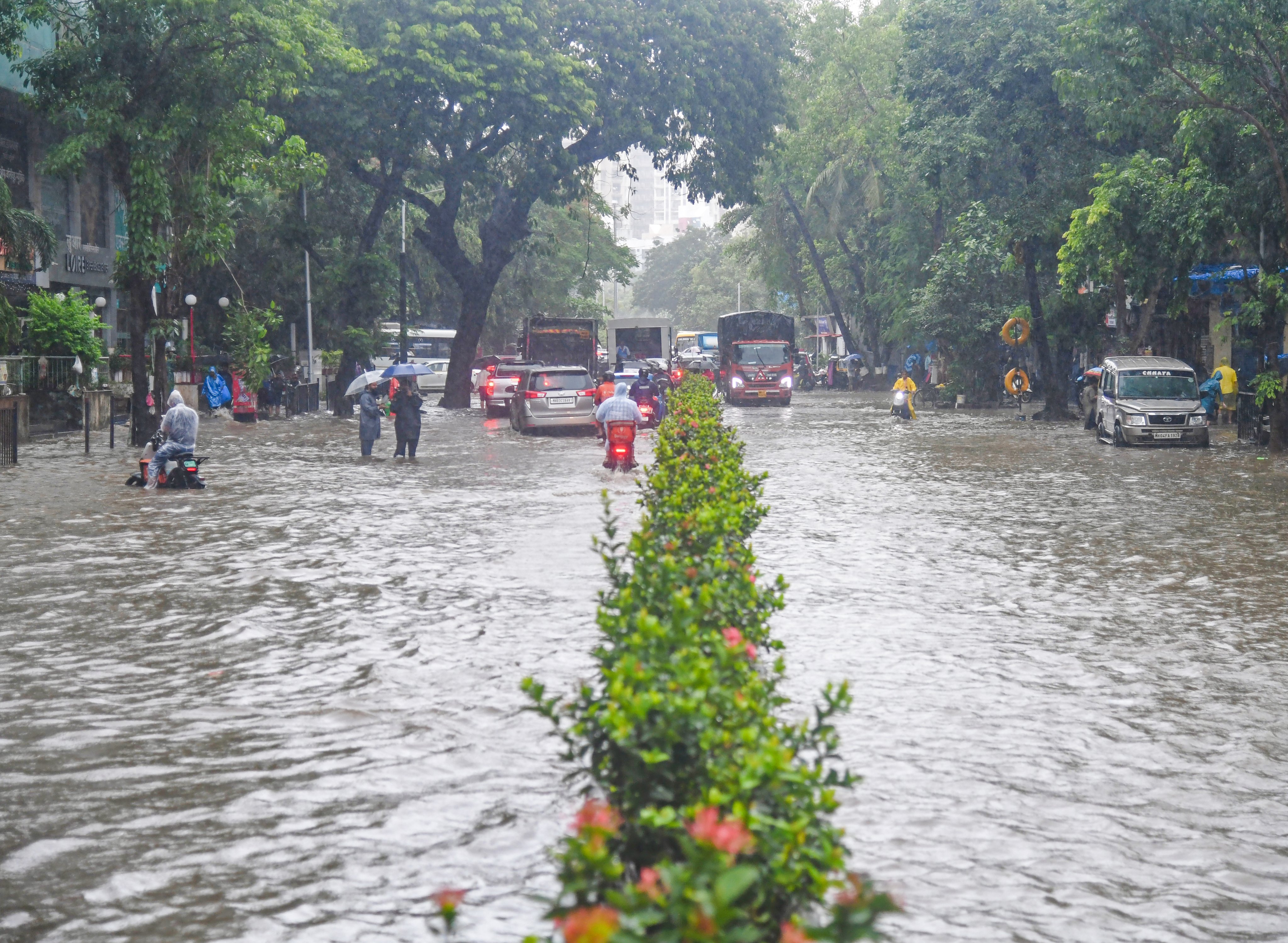 महाराष्ट्र चिंब होणार...  राज्याच्या या भागात अतिमुसळधार पावसाचा इशारा...